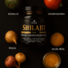 Shilajit del Himalaya